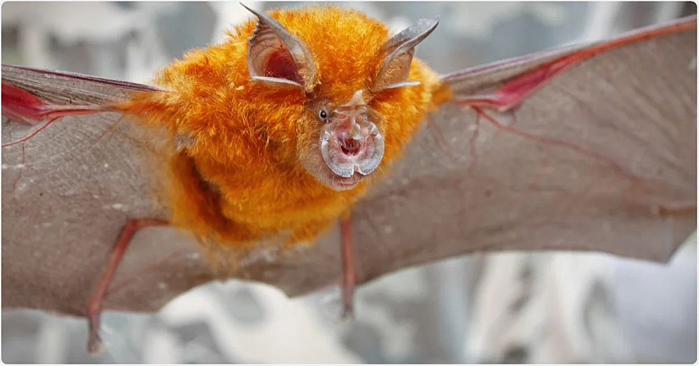 A coronavirus related to SARS Cov-2 is circulating among British bats